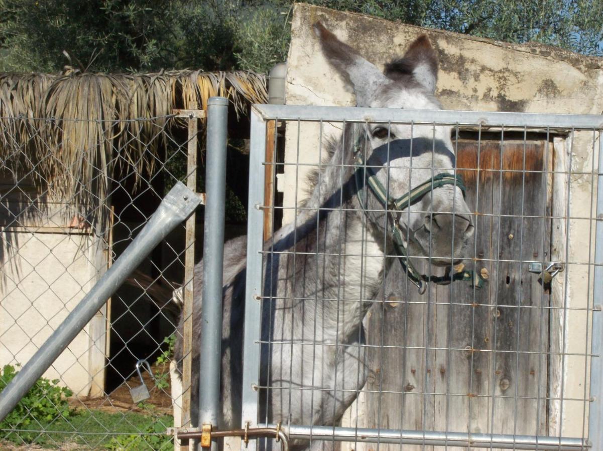 モラタリャCasa Trotamundosアパートメント エクステリア 写真